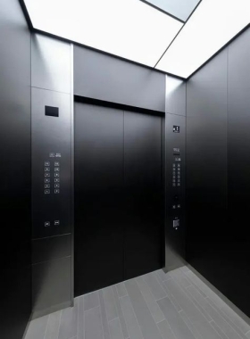 THANG MÁY TỐI GIẢN MÀU ĐEN 